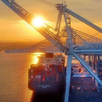 import by sea freight