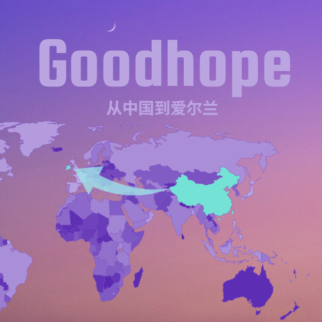 2025最新中国到爱尔兰海运整柜价