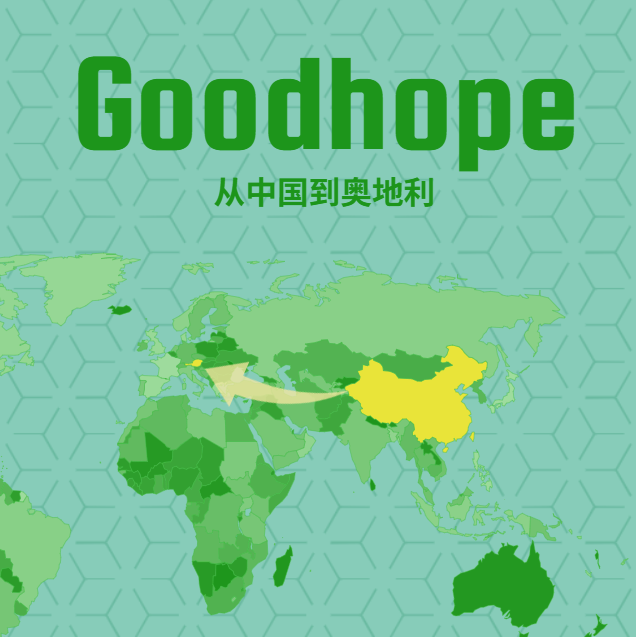 2025中国到奥地利拼箱海运和铁路运费