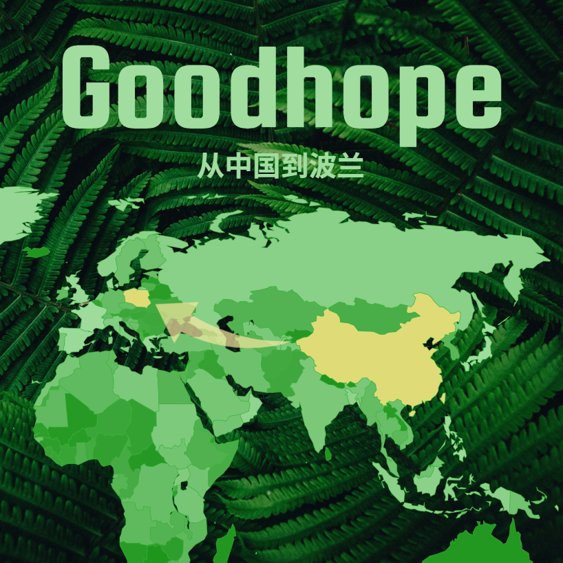 中国至波兰海运整柜运费及优惠方案