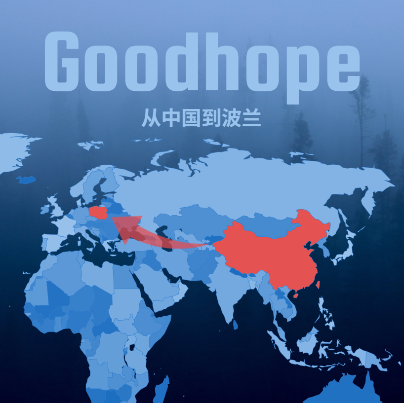 2025中国至波兰拼箱海运价格及服务介绍