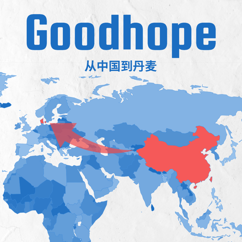 2025 中国至丹麦集装箱整柜海运报价一站式参考