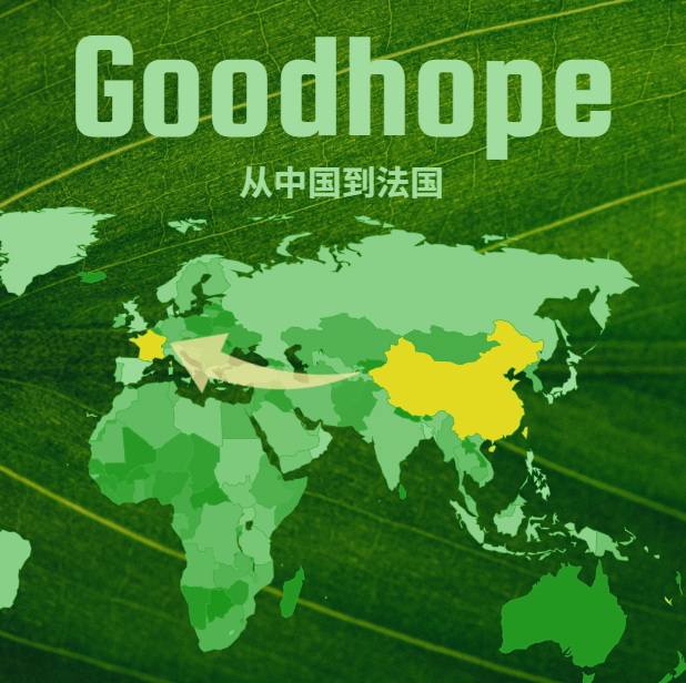 2025最新中国到法国海运整柜运费