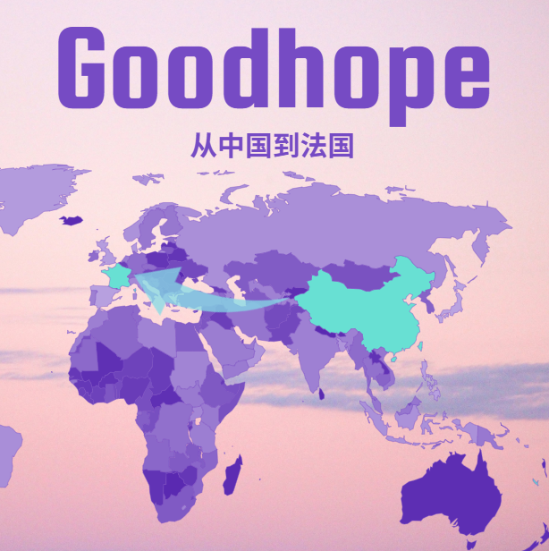 中国到法国海运拼箱运费：深圳、香港、宁波、上海四大港口航线