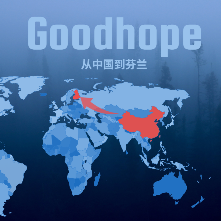 2025最新中国到芬兰海运整柜价