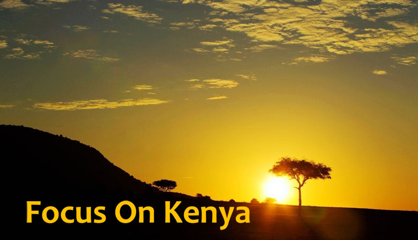 肯尼亚双清包税专线