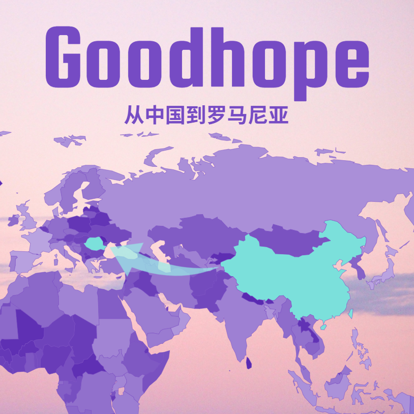 2025中国至罗马尼亚集装箱整柜海运报价一站式参考