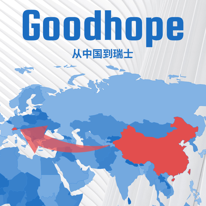 2025 中国至瑞士集装箱整柜海运报价一站式参考