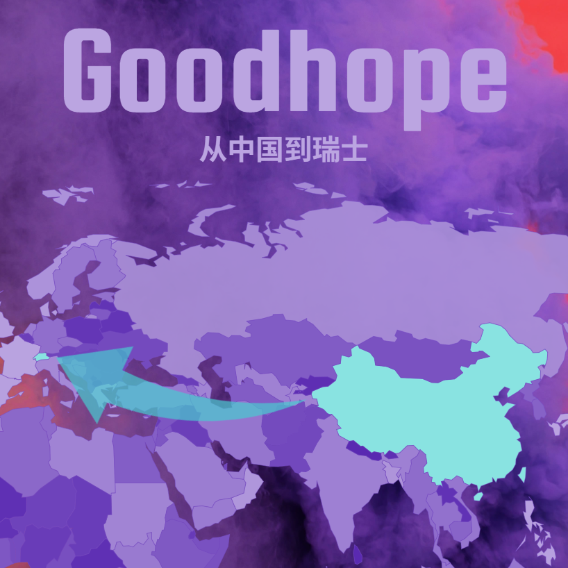 中国到瑞士海运拼箱运费：深圳、香港、宁波、上海四大港口航线