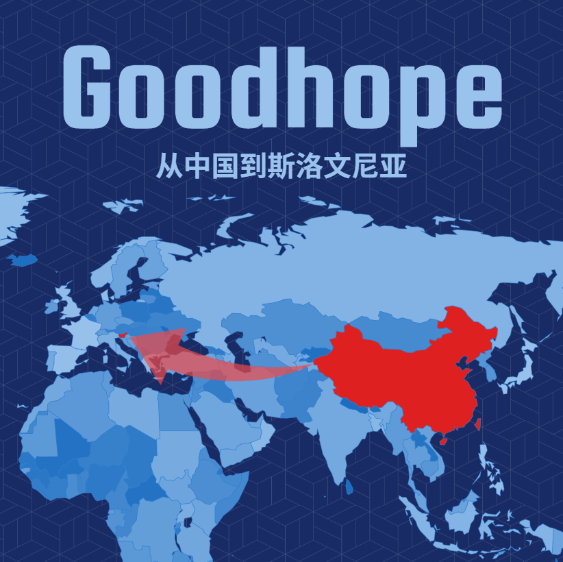 2025最新中国到斯洛文尼亚海运整柜运费