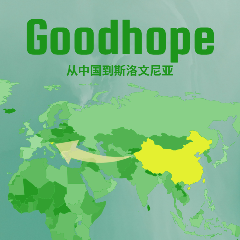 中国到斯洛文尼亚海运拼箱运费：深圳、香港、宁波、上海四大港口航线