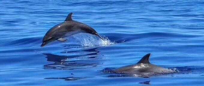 國際空運出口介紹