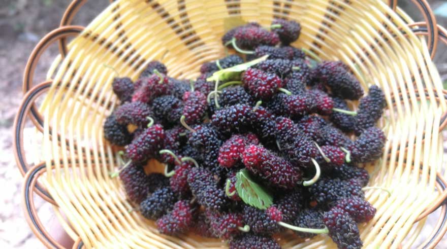 從香港運到澳洲國際貨運