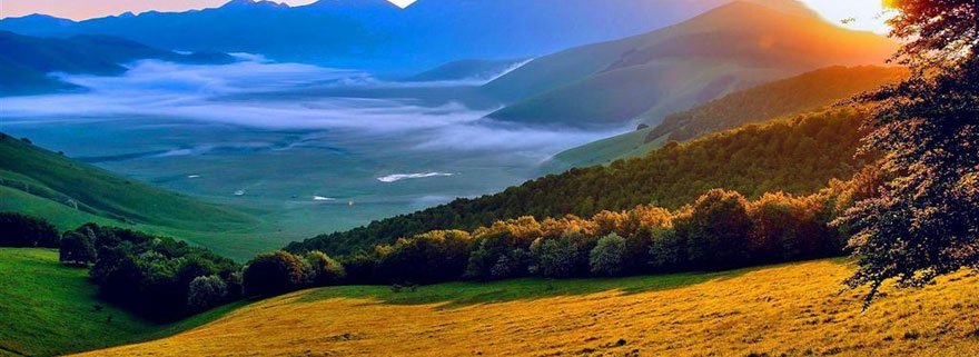 中國到澳洲運費