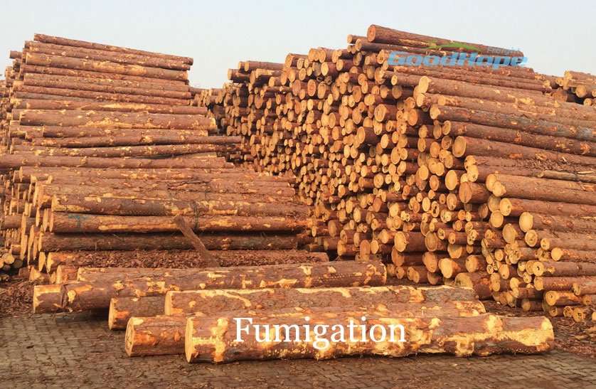 燻蒸消毒